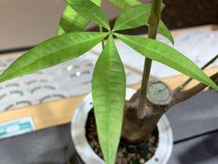 -太原茂业天地购物中心