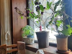 -老井俄式餐厅