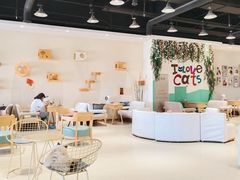 -藏猫猫咖啡主题馆(中央大道店)