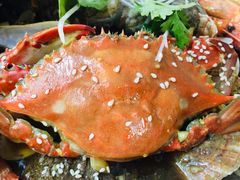-海帮主·蒸汽海鲜青岛菜(栈桥火车站店)