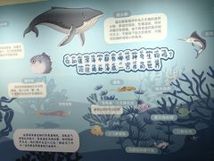 -三垟湿地