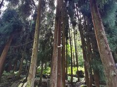 -西岭雪山大飞水景区