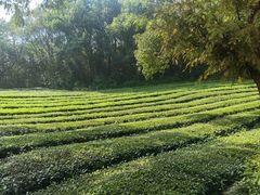 -敬亭山风景名胜区