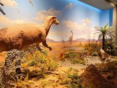 -贝林大翅鲸简餐厅(国家海洋博物馆店)