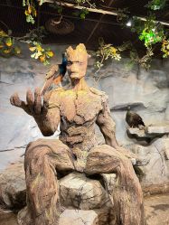 -Zoolung Zoolung动物主题公园(海信广场店)