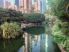 -九龙公园