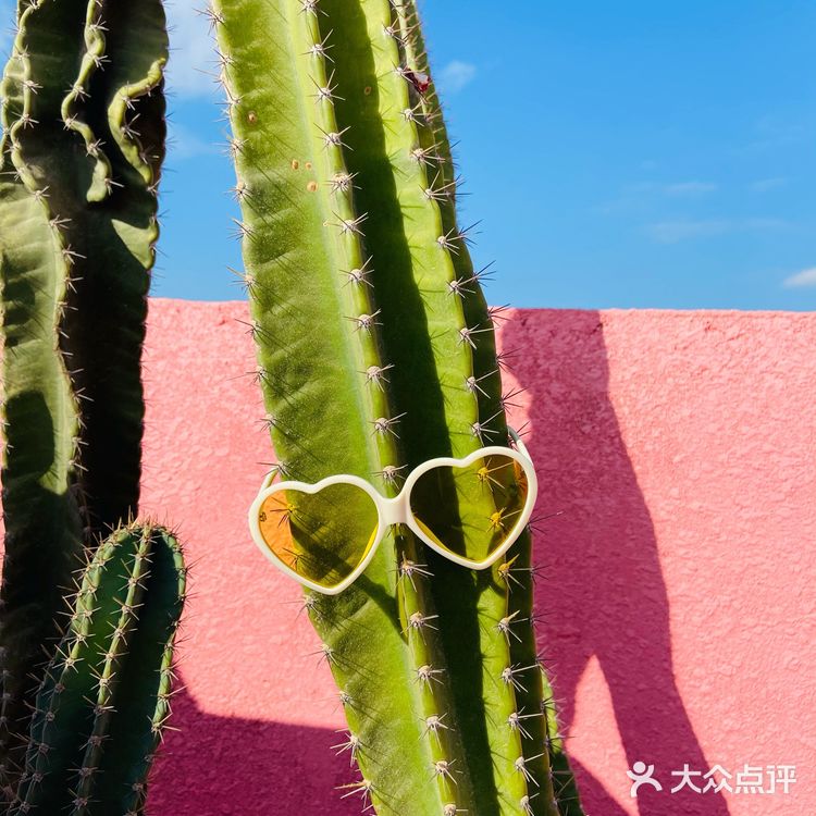 旅行✈️|太好拍!纪念碑谷实景版,如果不是导游叫我我能玩一天!
