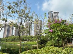-广东花都湖国家湿地公园