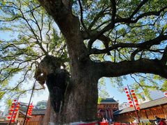 -新安江山水画廊风景区