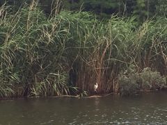 -新江湾城公园