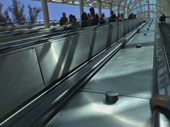 -木乃伊复仇过山车