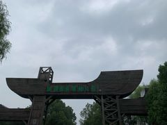 -溱湖国家湿地公园