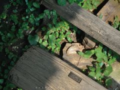-书隐楼