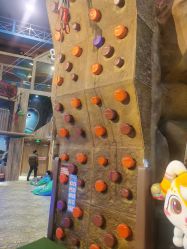 -卡通尼·Safari非洲探索乐园·生日会(金桥国际商业广场店)