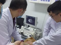 -全心全意连锁动物医院(加州店)