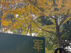 -勇士之星真人CS·团建·拓展(清水河公园店)