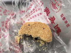 -北极阁公园
