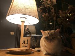 -咖法森林·咖啡  酒吧(天河店)