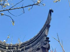 -香雪海