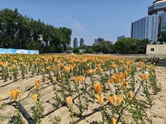 -中国农业博物馆