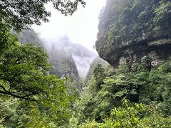 -鹿院坪生态旅游景区