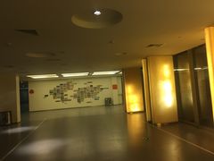 -深圳东部华侨城茵特拉根酒店
