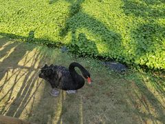 -厦门园林博览苑