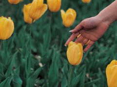 -长春公园(普阳街道)