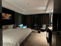 -常州环球恐龙城维景国际大酒店