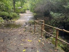 -天女山森林公园