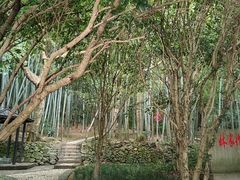 -桃花岛风景旅游区