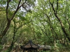 -宝岩生态观光园