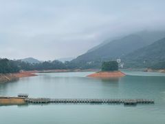 -广州市流溪河国家森林公园