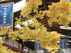 -老灶房-四川土菜(铁牛广场店)