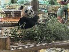 -西霞口神雕山野生动物世界