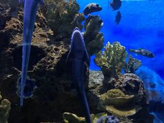 -多彩贵州城极地海洋世界