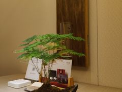 -隐溪茶馆(静安寺店)