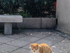 -人民广场