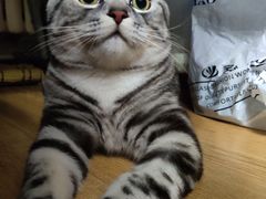 -达爱动物医院·犬猫分区·CT·复杂眼科(远洋山水分院)