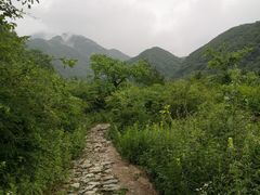 -秦岭风景区
