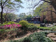 -顺峰山公园