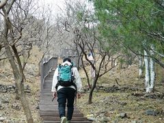 -北京十三陵国家森林公园蟒山景区