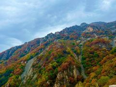 -白草畔自然风景区