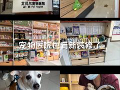 -艾贝尔宠物医院·24H转诊中心·肿瘤猫专科(江宁双龙店)