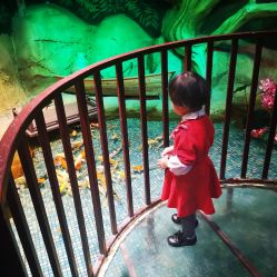 -酷嗒动物文化乐园(cutezoo西溪乐天城店)