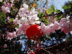 -龙华寺