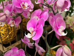 -广交会威斯汀酒店