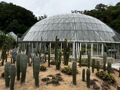 -深圳仙湖植物园