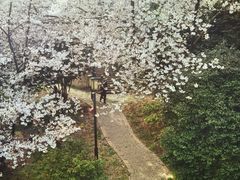 -苏州上方山国家森林公园