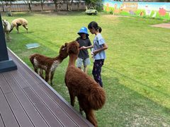 -太阳岛度假酒店
